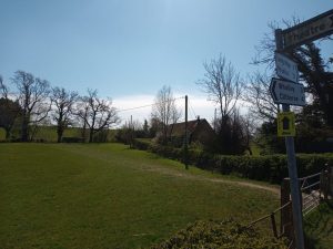 Walking through fields in Hurst Green