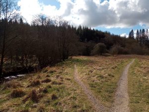 Forest of Bowland, Gisburn Forest Waterfall Walk