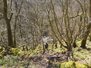 Gisburn Forest Waterfall, Scramble