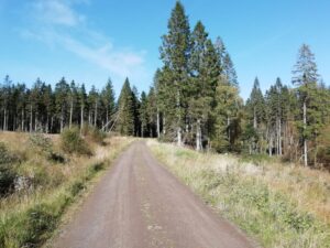 Outdoor Hobby, Kielder Forrest, Mountain Biking