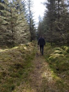 Forest of Bowland, Gisburn Forest Walk