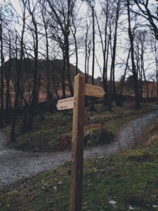Step 3, Rydal Caves From White Moss Carpark Walk