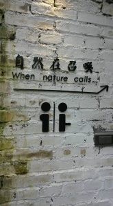 Chinglish Bathroom