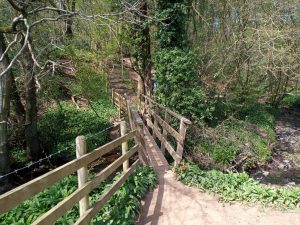 A narrow wooden bridge along the Tolkien Trail
