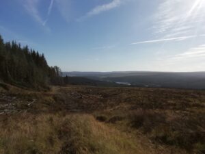 Kielder Forest Walk, Hiking Trail, Northumberland