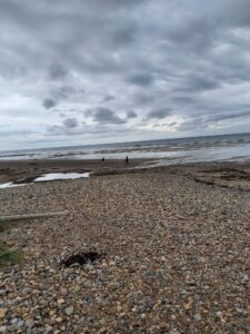 Saltburn Beach, Top Things To Do
