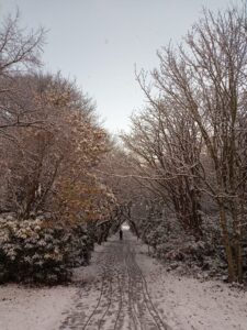 Heaton Park Woodlands, Manchester