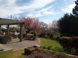 Shireburn Arms Beer Garden