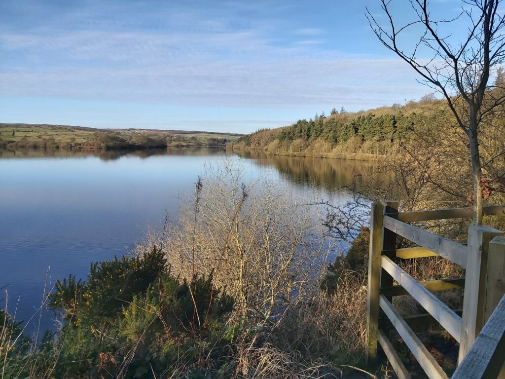 Swinsty Reservoir Walk