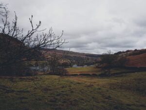 Rydal Caves Walk, Countryside