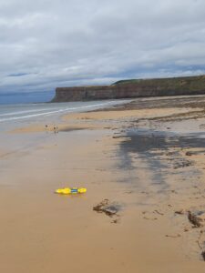 Saltburn Beach, Cliffs