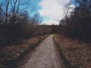 Gisburn Forest, Waterfall Walk