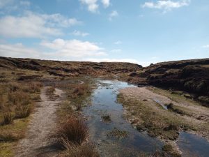 Kinder Scout walk, boggy, bog trotting