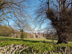 A sunny day on the grounds of Stonyhurst College
