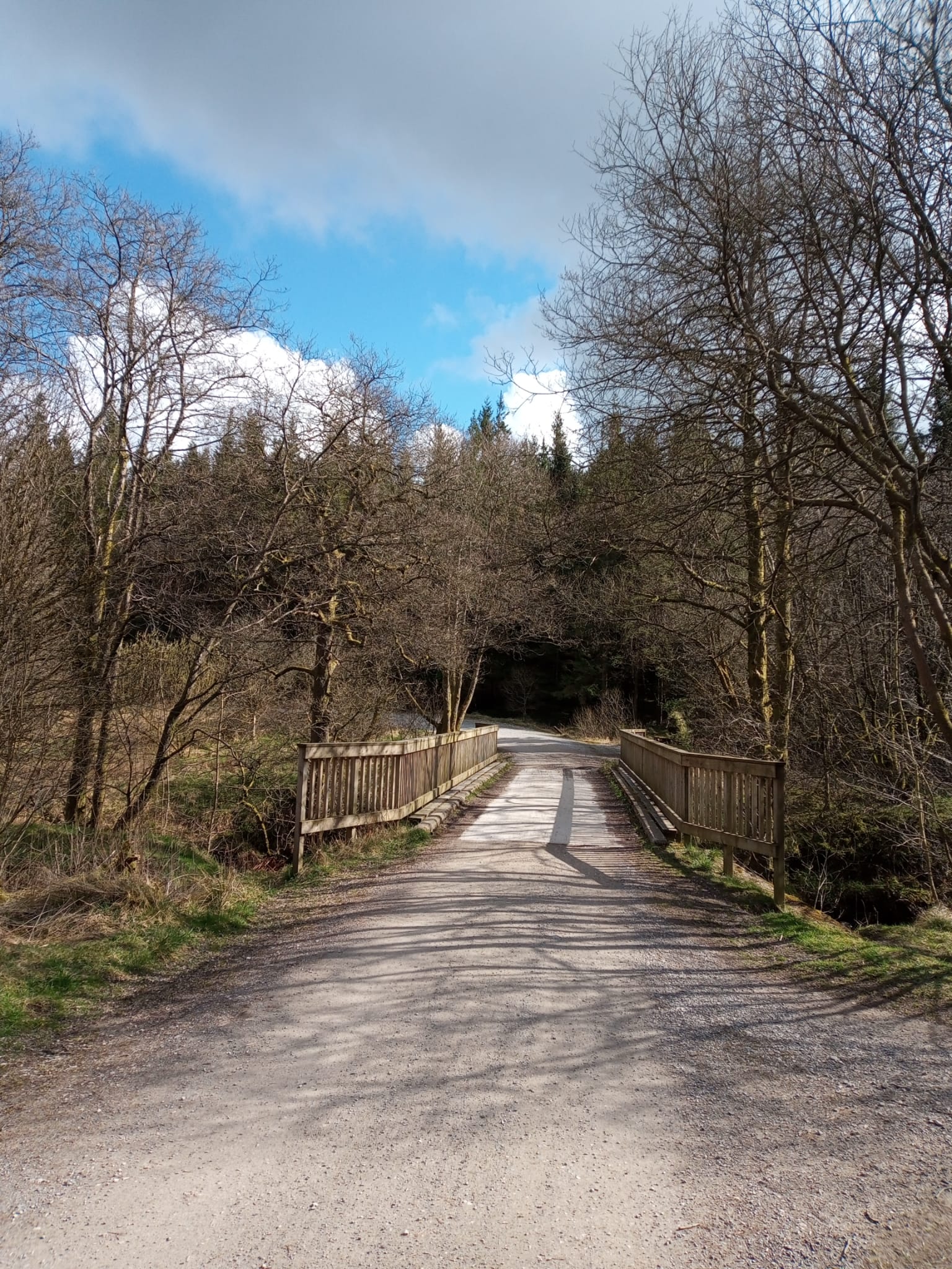 Forest Of Bowland Waterfall Walk - How To Find Gisburn Forest Waterfall ...