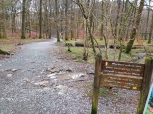 Rydal Caves Walk Route, White Moss