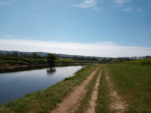 Walking along the footpath beside the River Ribble