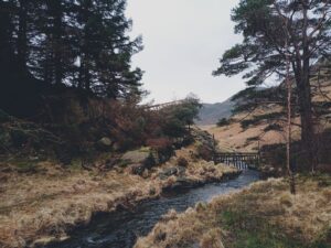 Blea Tarn, Lake District, The Witcher