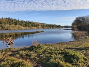 Swinsty and Fewston Reservoir Loop, Yorkshire Dales