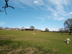 Open moorlands behind the Shireburn Arms in Hurst Green