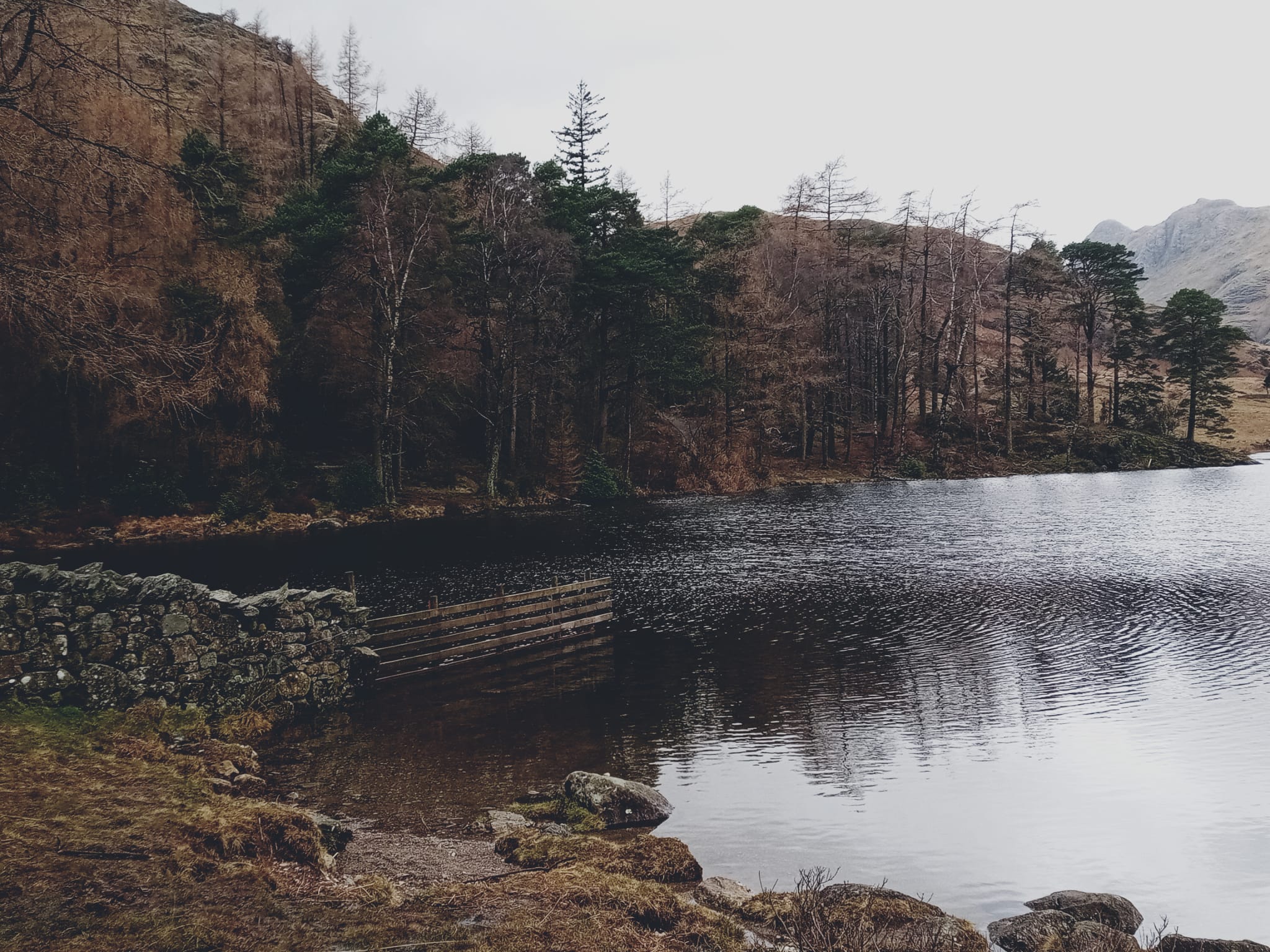 Blea Tarn Walk Guide (All You Need To Know)