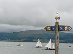 Beaumaris Victorian Bay Pier, Seafront