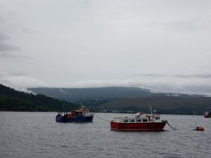 What to do in Fort William - Boat Tour