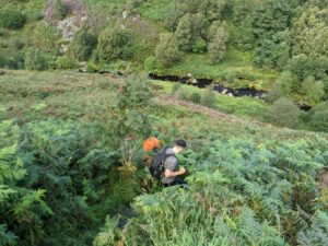 Hardcastle Craggs Trail, Hebden Bridge Walks
