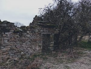Lobley Hall Ruins, Druids Temple Walk, Masham Yorkshire