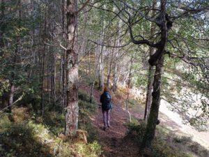 Loch Vaa Woodland Walk