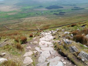 Whernside Walk, Steep Descent