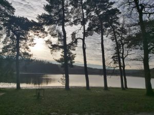 Swinsty Reservoir Woods