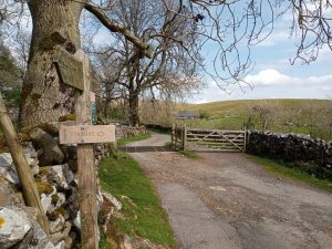 Ribblehead Viaduct Walk