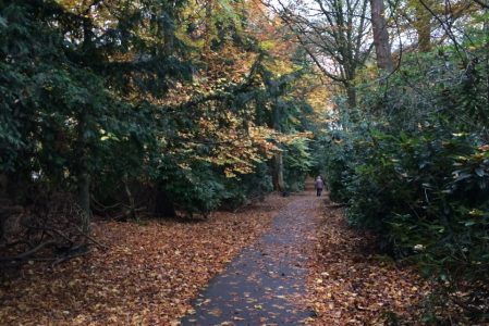 8 Proper Good Lancashire Walks You Need To Try🌹