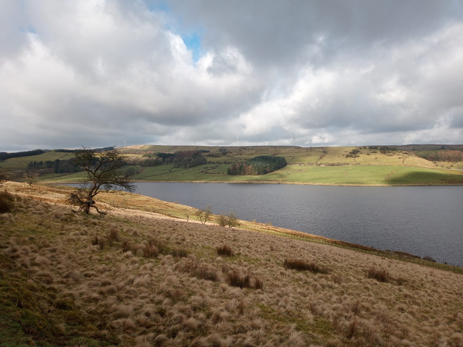 Detailed Haslingden Grane Walk Guide (Lancashire’s Hidden Gem) 🌲