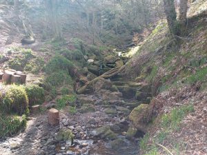 Hardcastle Craggs, Hebden Bridge Walk