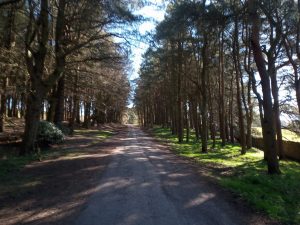 Hurstwood Entrance, Burnley to Hebden Bridge Walk