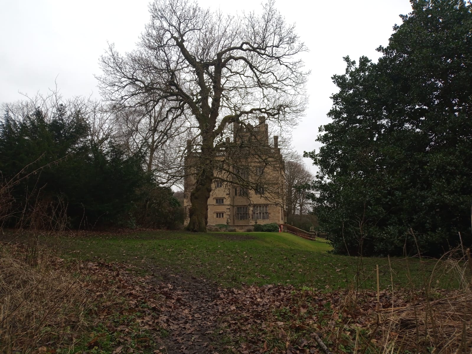 Gawthorpe Hall Circular Walk Burnley & Padiham, Hagg Wood Route The