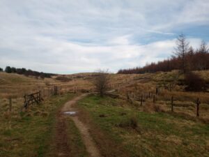 Dunnockshaw Community Woodland, Burnley, Singing Ringing Tree Walk