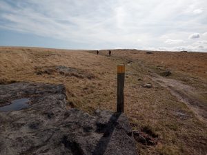 Gaddings Dam Walk, Yellow Top Posts
