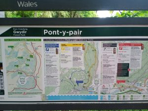 Gwydir Forest Park Map
