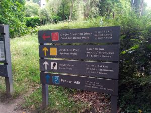 Gwydir Forest Park Walk Routes