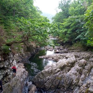 4 Breathtaking Walks In Gwydir Forest Park (Detailed Guide)