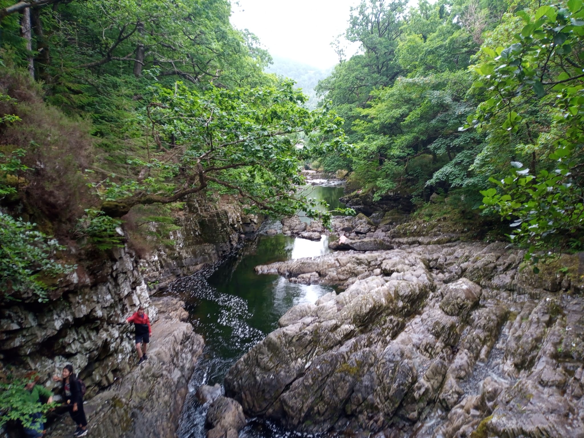 4 Breathtaking Walks In Gwydir Forest Park (Detailed Guide)