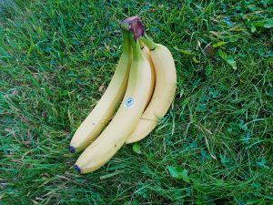 Bananas, Best Hiking Snacks