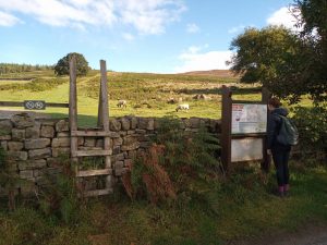 Ladder stile, Lower Fell Plantation, Simon's Seat walk guide