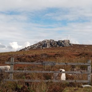 Ultimate Guide To Simon’s Seat Walk (+ FREE Parking Revealed!)