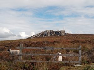 Simon's Seat walk from Barden Bridge