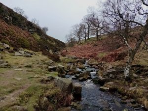 Bronte Waterfall, Haworth, Yorkshire