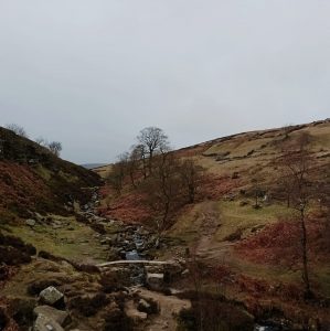Ultimate Bronte Waterfall Guide (BEST Walk Routes From Haworth)